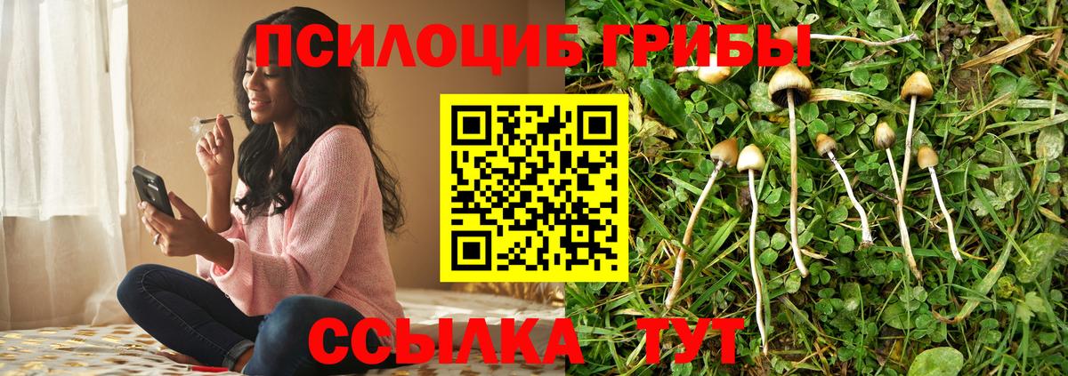 Сочи  Псилоцибиновые грибы Psilocybe  Галлюциногенные грибы Psilocybine cubensis  Вход с VPN 